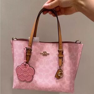 COACH Mollie 25 tote bag that's been sitting unused